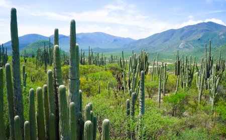 Tehuacán, un destino poblano para disfrutar las vacaciones