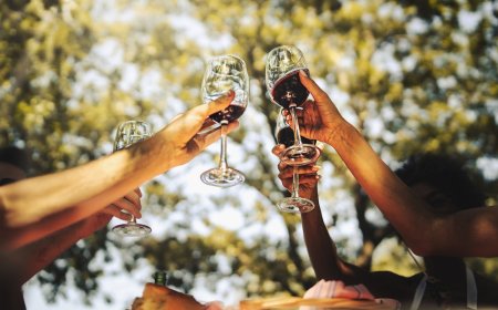 El estado de Nayarit se une al sector vitivinícola en México