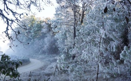 Ixtlán de Juárez, el mejor lugar para disfrutar de la nieve en Oaxaca.