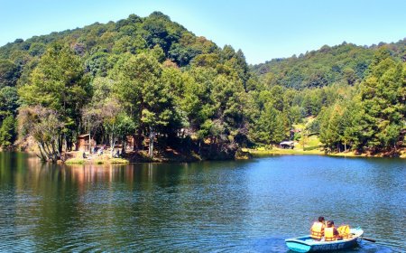 Maravíllate con el rincón Llano de Lobos en Villa Carbón