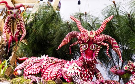 Se acerca la noche de los rábanos en Oaxaca