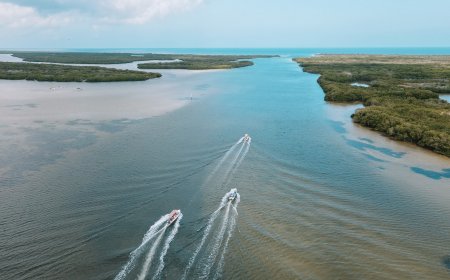 6 Hoteles  en Río Lagartos para disfrutar un fin de semana