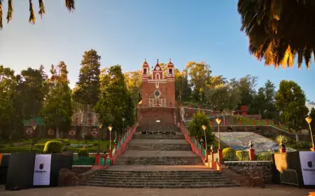 Explora la maravilla alada: El santuario de colibríes a ocos kilpómetros de la CDMX