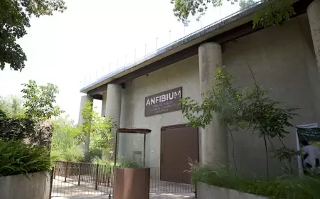 Viaja a la ciudad con más museos y descubre los nuevos recintos