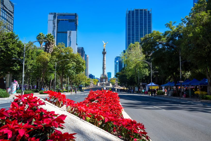 Viaja a la CDMX y asiste a la Feria de la Flor de Nochebuena 2023