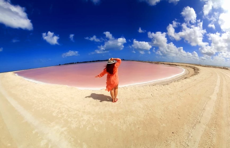 Reserva de la Biosfera de Río Lagartos