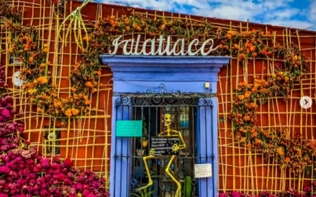 Los cinco  mejores barrios de Oaxaca