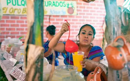 ¿Estás listo para el Pulcata Fest 2024?