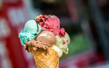 Explora un dulce y fascinante universo de sabores en la la Feria internacional del helado y la paleta 2024