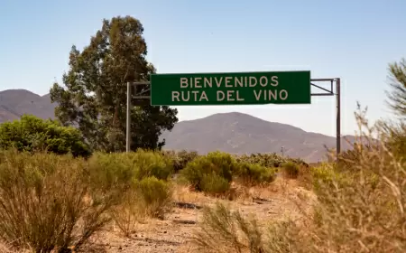 Un viaje romántico por el Valle de Guadalupe