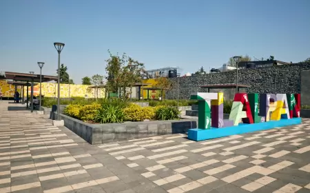 ¡No te puedes perder el Festival Gastronómico de Tlalpan este 2024!