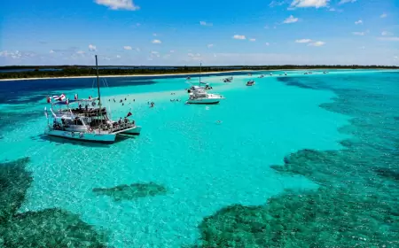 Las 5 actividades que debes hacer al visitar Cozumel