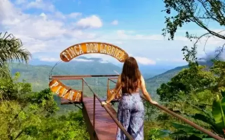 Descubre la  ruta del café de pluma en Oaxaca