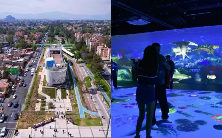 ¡5 Actividades para explorar CDMX sin gastar un solo centavo!