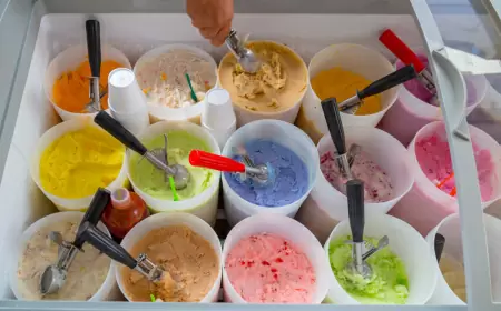 ¡Prepárate para una experiencia refrescante y llena de sabor en la Feria de la Nieve de Xochimilco 2024!