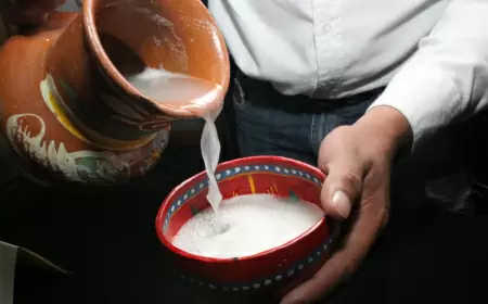 ¡Prepara tu paladar y marca en el calendario la fecha de la Feria del Pulque y la Barbacoa 2024!