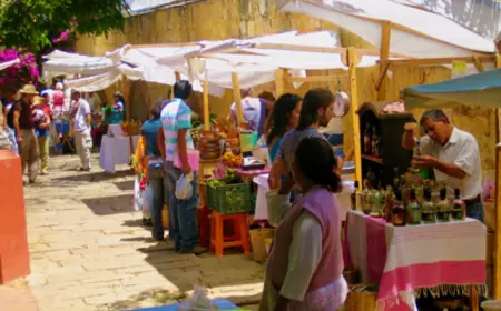La Cosecha y el Pochote, los dos mercados orgánicos de Oaxaca