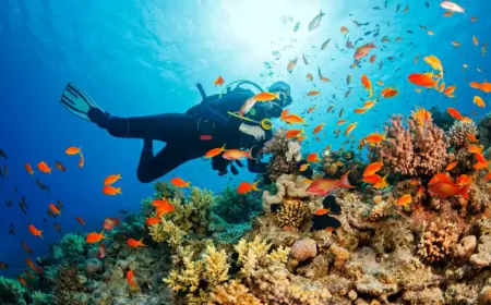 Los 5 imperdibles de Cabo San Lucas