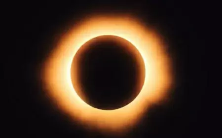 Así se vivió el Eclipse de Sol en Mazatlán