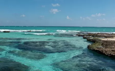Descubre uno de los tesoros escondidos de la Riviera Maya