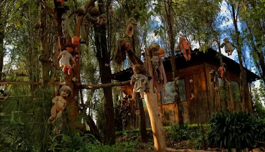 Isla de las Muñecas- Xochimilco, Cdmx: