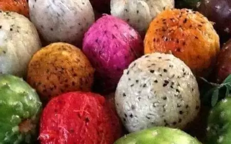 ¿Conoces la comida del desierto? Gastronomía con sabores exorbitantes.