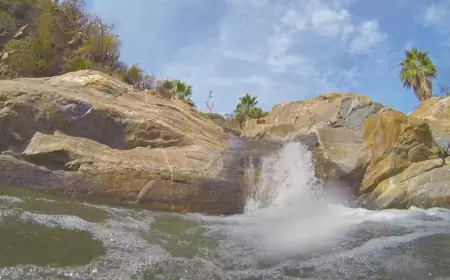 Visita el cañón de la Zorra en Baja California, Un oasis en medio del desierto