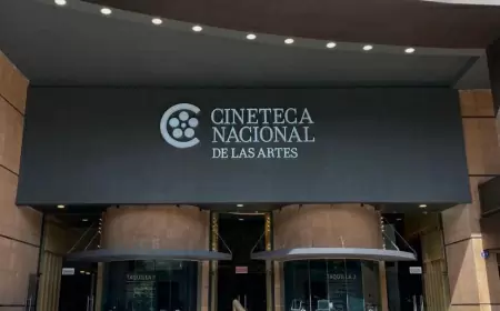 Conoce la Cineteca Nacional de las Artes en la CDMX