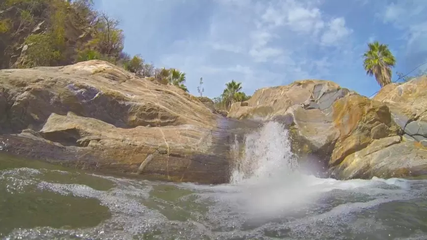 Visita el cañón de la Zorra en Baja California, Un oasis en medio del desierto