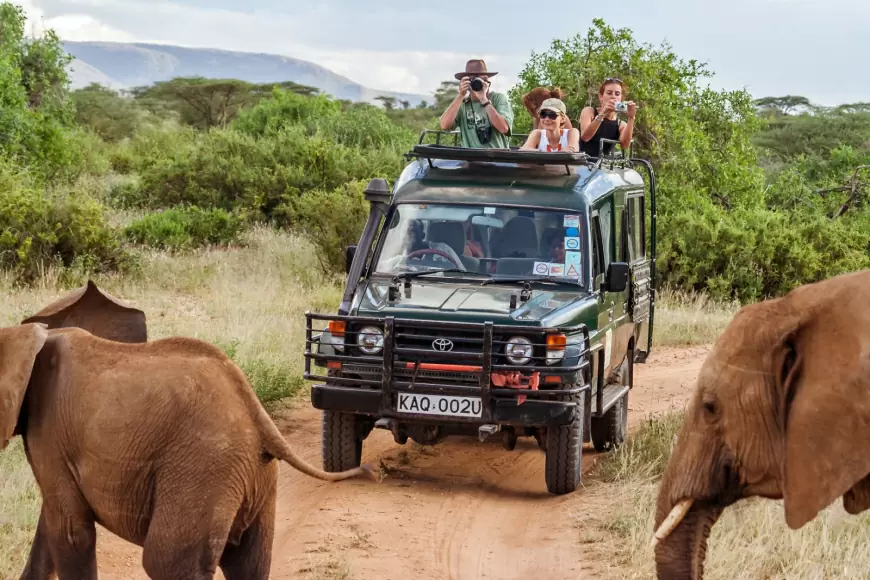 Vete de Safari con tus abuelos, ¡un recuerdo para toda la vida!