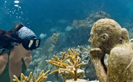 Conoce una de las maravillas más sorprendentes de México, Museo Subacuático de Arte.