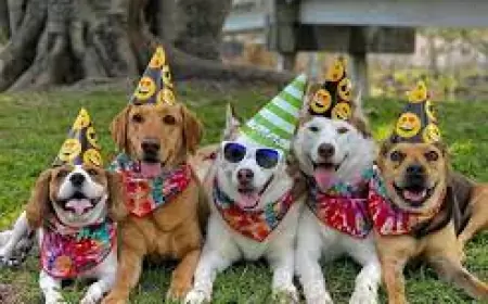 Día del perro, los mejores lugares pet-friendly para festejar a los lomitos.