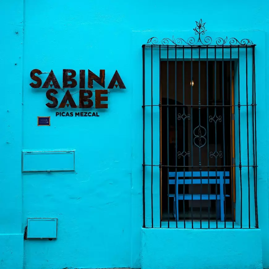 Sabina Sabe: 5 de Mayo 509-Centro