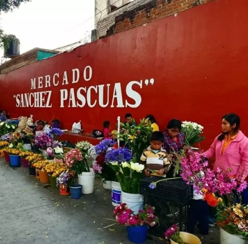 Mercado Sánchez Pascuas