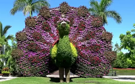 4 Jardines de México, verdaderos parques temáticos