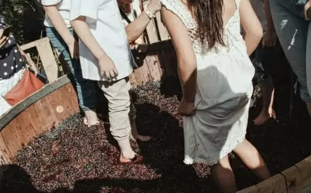 Llegaron las Fiestas de la Vendimia a Guanajuato