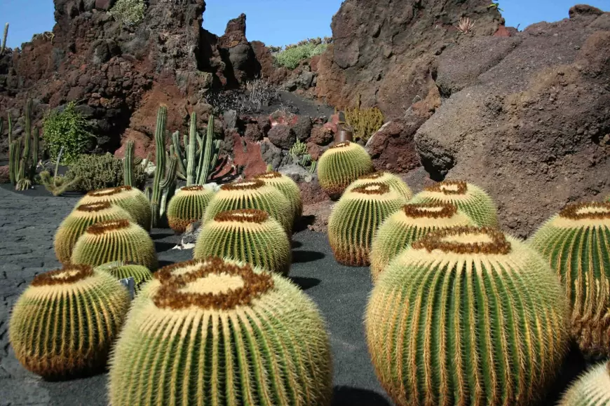 El Charco del Ingenio: San Miguel de Allende