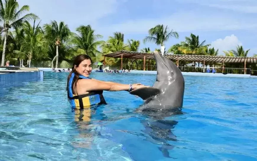 Delphinus Puerto Morelos, Quintana Roo.