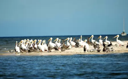 Dzilam de Bravo: Un Refugio de Historia y Naturaleza