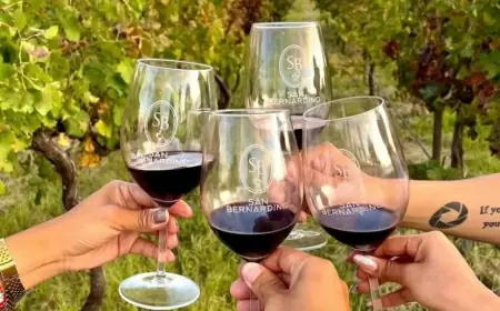 Celebra las Fiestas de la Vendimia en Guanajuato