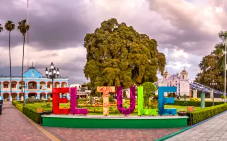 El Árbol del Tule, el gigantesco ahuehuete de más de 2000 años de antigüedad.