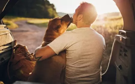 Viaje en pareja, ¡mi mascota y yo!