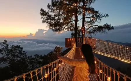 Da Un Paseo Por Las Nubes en San José del Pacifico