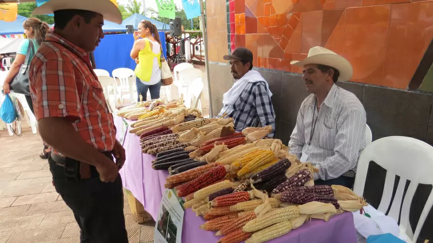 Chiapas, Feria del maíz en San Cristóbal de las Casas.