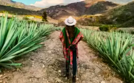 Ruta del Mezcal, ¿conoces los diferentes tipos de agaves?