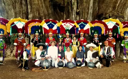 Festejan al gran gigante, fiesta del árbol del Tule