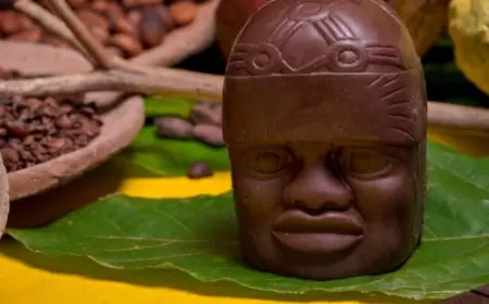 13° Festival de Chocolate, Raíces que conectan