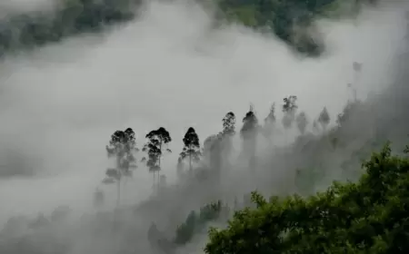 Disfruta de la nieve en San Antonio Cuajimoloyas, Pueblo Mágico.