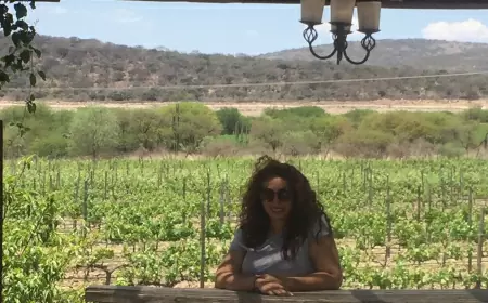 México y su pasión por el vino