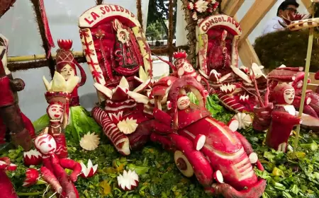 Noche de Rábanos 2024, ¡la gran fiesta de los hortelanos!